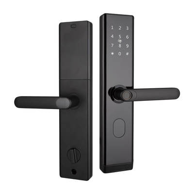 Elektronisch slimme biometrische vingerafdruk deur slot Aluminium legering beveiliging met BLE Wifi