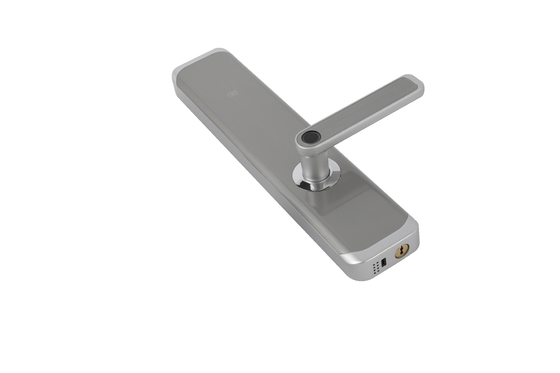 Europese standaard 6068 Smart Mortise Lock For High Security Residence Zilveren kleur Passcode slot