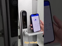 Bruto gewicht 2,5 kg Fringerprint deur slot voor de ingang deur / appartement deur / binnenplaats deur / hotel deur