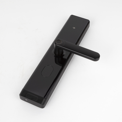 Digitaal vingerafdruk slimme deur slot waterdicht elektrisch met APP TTLOCK BLE Wifi