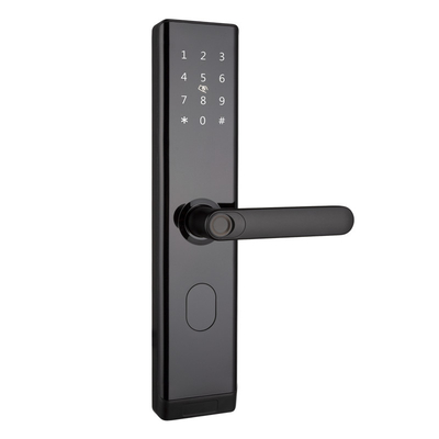 Wifi TTLOCK Smart Door Lock Biometrische vingerafdruk Door Handle Digitaal Sleutelloze slot
