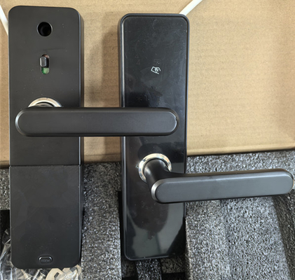 Aluminiumlegering Geverfde afwerking Bluetooth deur slot afstandsbediening Met Bluetooth / Wi-Fi-connectiviteit