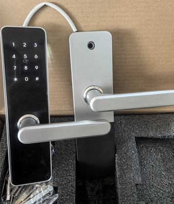 Smart Home Door Lock Fingerprint Lock Bluetooth WiFi Zwart / Zilveren Geverfd Voor Veiligheid