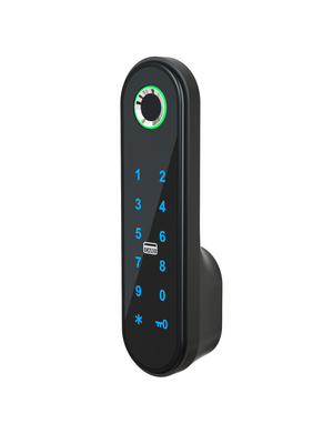 286g Elegante slimme kast slot/code APP Kaartkast slot zilver/zwart/rozengoud/goud/op maat