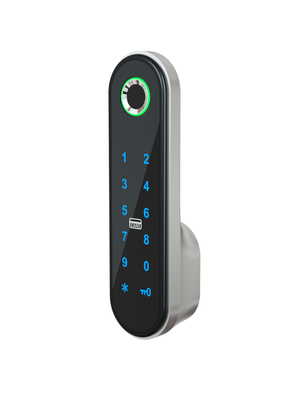 286g Elegante slimme kast slot/code APP Kaartkast slot zilver/zwart/rozengoud/goud/op maat