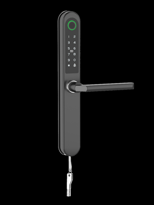 Afgewerkt Geverfd RFID-deurslot Commercieel Bluetooth WiFi Speciale kaart / code / vingerafdruk / APP
