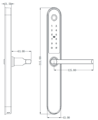 Gemakkelijke ingang deur commercieel slim slot 315 * 43 * 21mm 4pcs AA batterijen