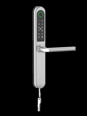 Bluetooth afstandsbediening Wifi Smart Lock via Gateway Speciale functie Vingerafdruk
