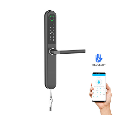 Geverfde afwerking Smart Gate Lock Card / Code / Fingerprint / APP / Bluetooth / WiFi voor appartementen