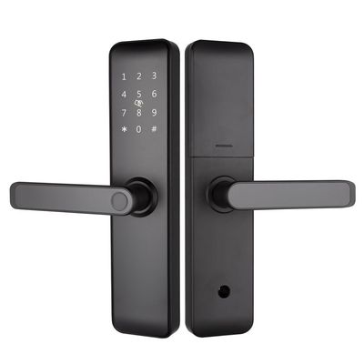 Geverfd Bluetooth WiFi RFID Sleutelloze slimme sloten voor appartementen Huis Inkomstdeur Kamerdeur