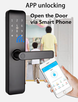 Geverfd Bluetooth WiFi RFID Sleutelloze slimme sloten voor appartementen Huis Inkomstdeur Kamerdeur