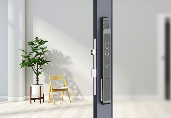 Gezicht / Palm Vein Smart Gate Lock 7-in-1 Ontsluitend IP65 Aluminium