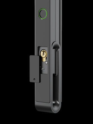 Gezicht / Palm Vein Smart Gate Lock 7-in-1 Ontsluitend IP65 Aluminium