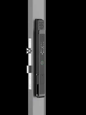 Aluminium Commercial Smart Lock Gezichtsherkenning Video Cat Eye Palm Vein Ontsluiting IP65
