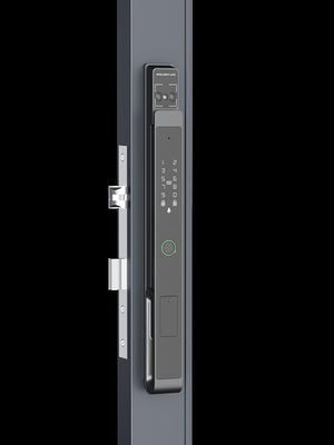 Zwarte slimme deurknop Palmven / gezichtsherkenning / Video Cat Eye IP65