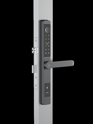 Gezichtsherkenning / Cat Eye Video / Palm Vein Smart Door Lock IP65 Aluminium