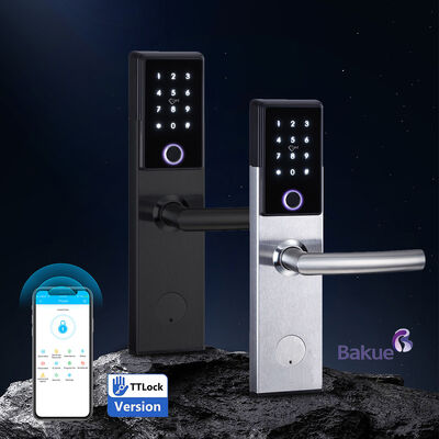Afgeschakeld 120min Smart Door Lock Geverfd Veilige Toegang Bluetooth WiFi Code Kaart Mechanische Sleutel Opties