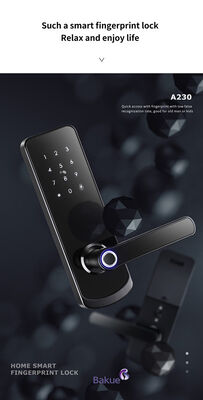 eKey Controller Type RFID-deurslot met 2 stuks mechanische sleutel Duurzaam toegangscontroledispositie voor verschillende omgevingen