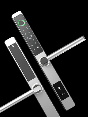 Scholen Smal Frame IP65 Waterdicht Smart Door Lock Met wachtwoord
