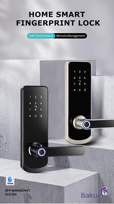Smart Door Lock CE Brandgewaardeerd EN1634 1 EN14846 Zwart en zilver Beveiligd Toegangscontrolesysteem