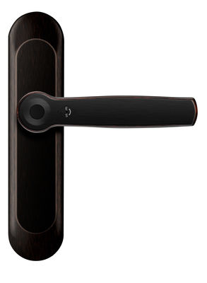ROHS Smart Fingerprint Bluetooth Door Lock AI Voice Zink Alloy Handle